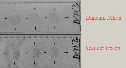 diffuse Belichtung